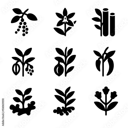 Spice Plant Icons. Solid, filled icon set of spice plants: pepper vine, vanilla orchid, cinnamon tree, cardamom plant, nutmeg tree