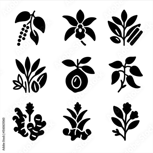 Spice Plant Icons. Solid, filled icon set of spice plants: pepper vine, vanilla orchid, cinnamon tree, cardamom plant, nutmeg tree