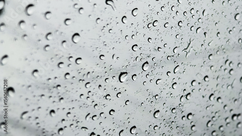 Wallpaper Mural Raindrop Reflection: A mesmerizing macro shot captures the delicate dance of raindrops, each a tiny mirror reflecting the world outside, creating a tranquil and evocative atmosphere. Torontodigital.ca