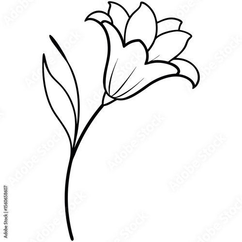 Black Line Freesia Flower Simple Botanical Line Art