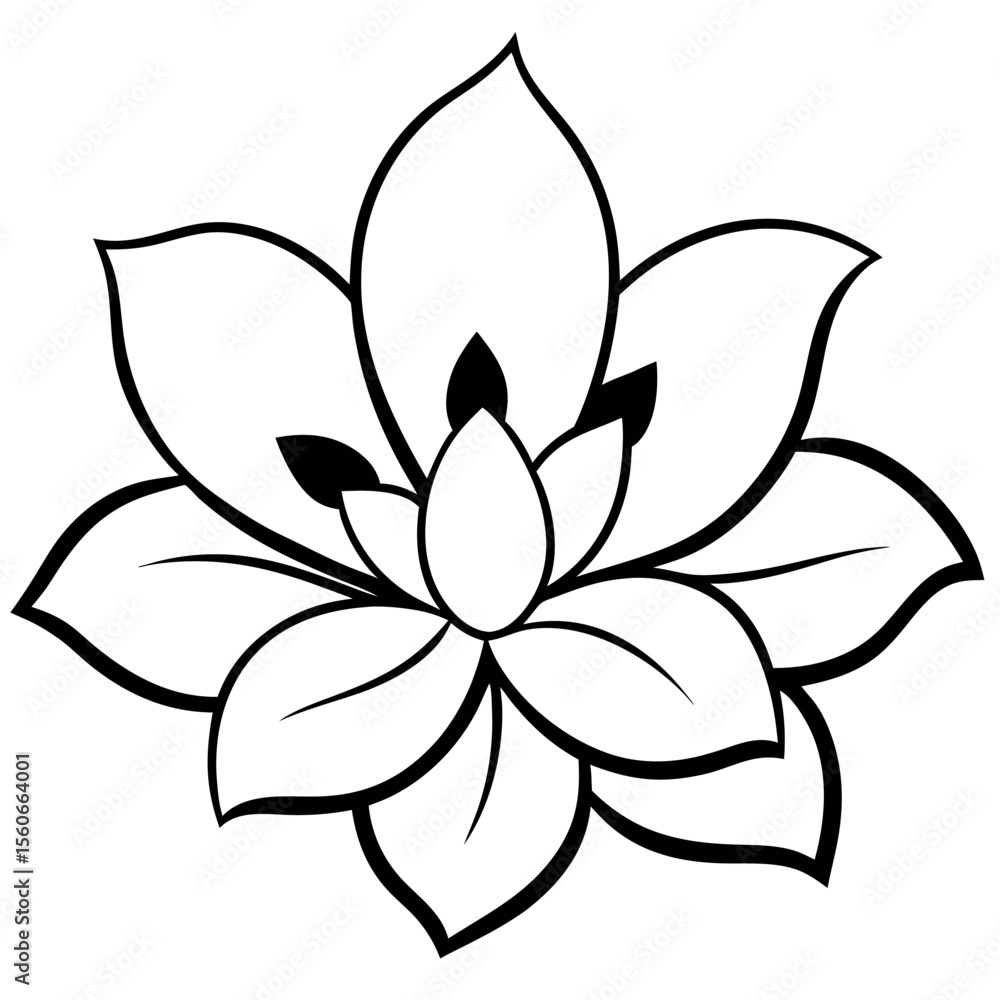 Large Magnolia Petals Black Line Art Floral Design 1 Large Magnolia Petals Black Line Art Floral Design 1