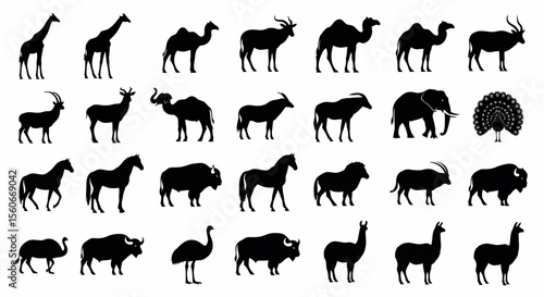 Diverse Animal Silhouettes: Giraffe, Camel, Elephant, Peacock, Horse, Buffalo, Llama, Ostrich