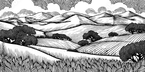 Black and white pastureland with distant fence line in vintage hand drawn style