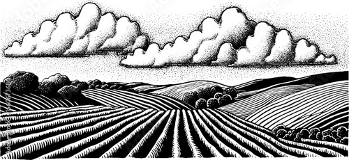 Rural farming scene with person planting seeds in furrows under cloudy sky