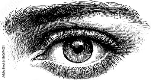 Detailed abstract eye with sparkle edge for artistic designs