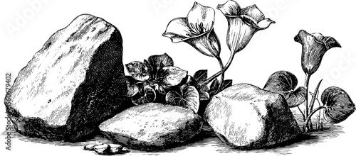 Vintage mossy stones and frog spawn with floral elements - hand drawn retro nature composition for design