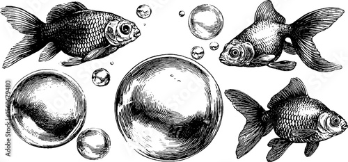 Vintage goldfish and bubbles engraving - retro aquatic theme for design