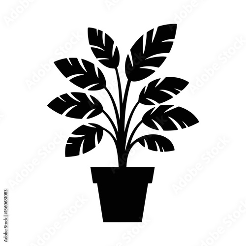 Black and white potted plant silhouette