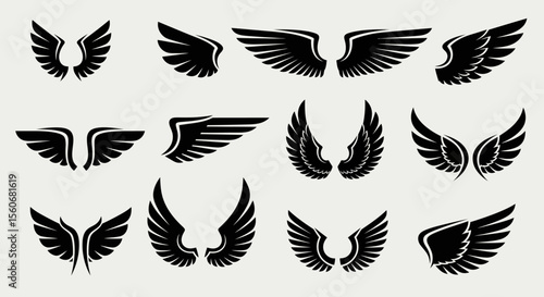 Collection of Decorative Black Wings in Various Poses