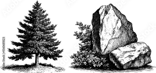 Intricate tree rune and druid stone drawing for ancient themed design