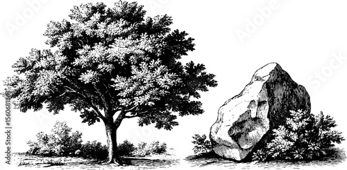 Intricate nature illustration featuring tree rune and druid stone for design projects