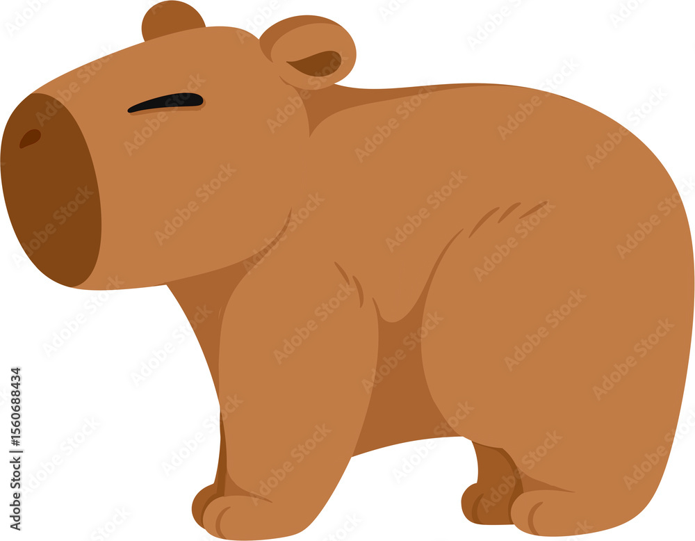 Fototapeta premium illustration capybara