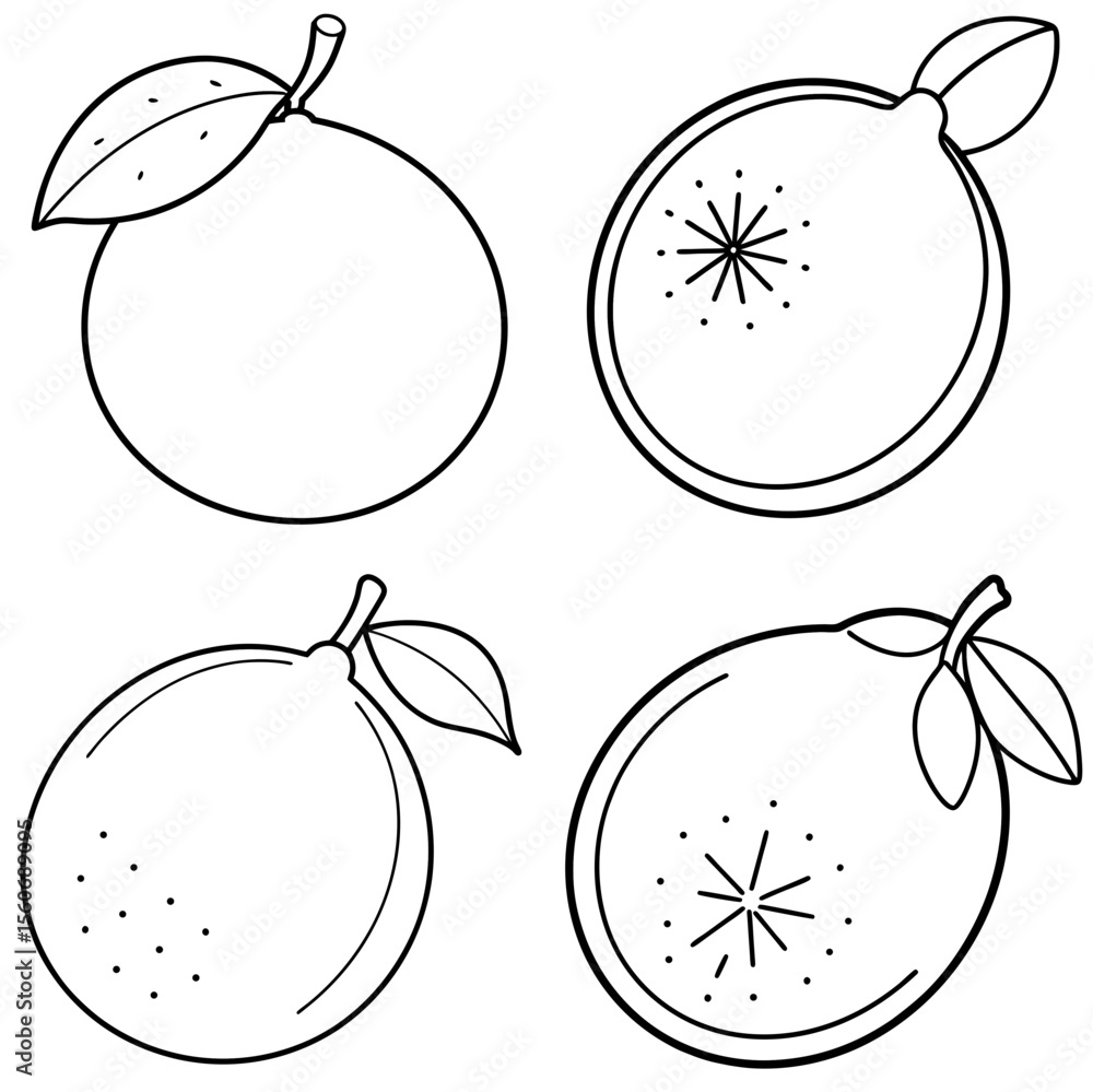 Obraz premium Lime Icon – Citrus Fruit Line Art, Outline Vector Illustration