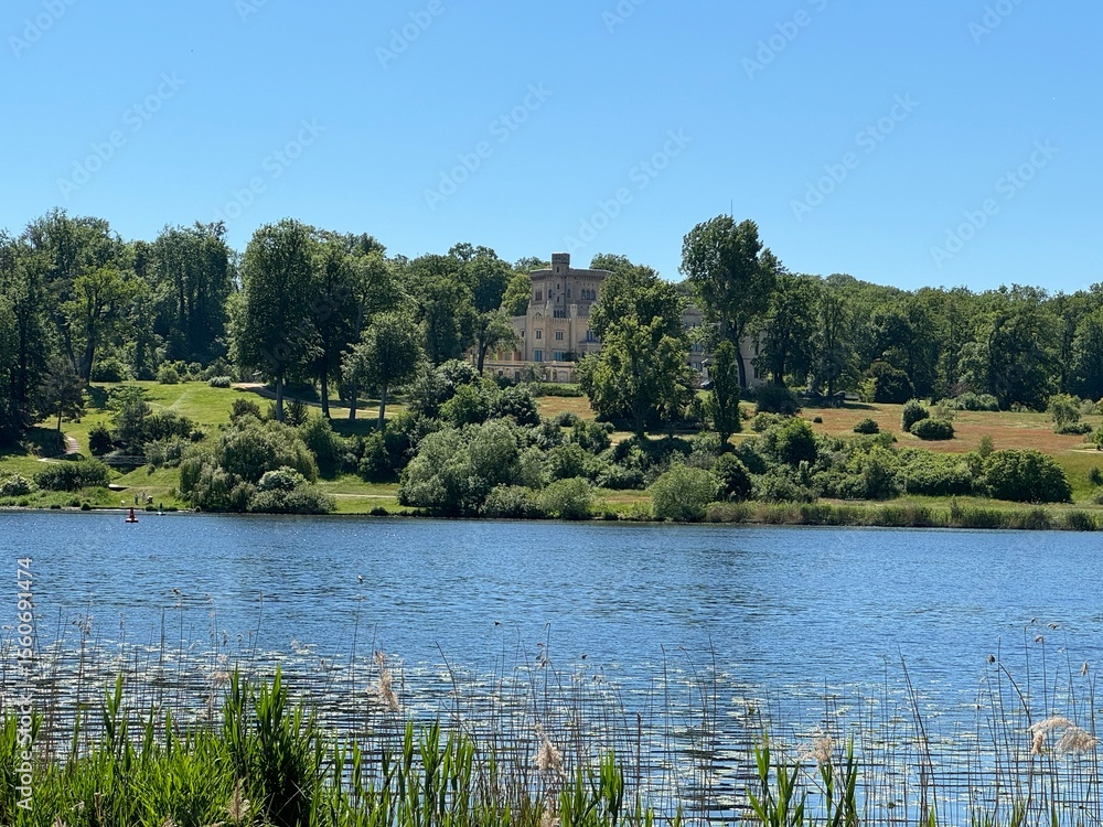 Obraz premium lake and trees