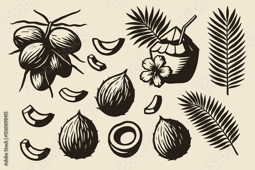 Coconut fruit palm leaves thick contour style vector illustration