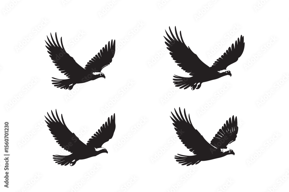 Fototapeta premium Silhouette eagles in flight on a white background