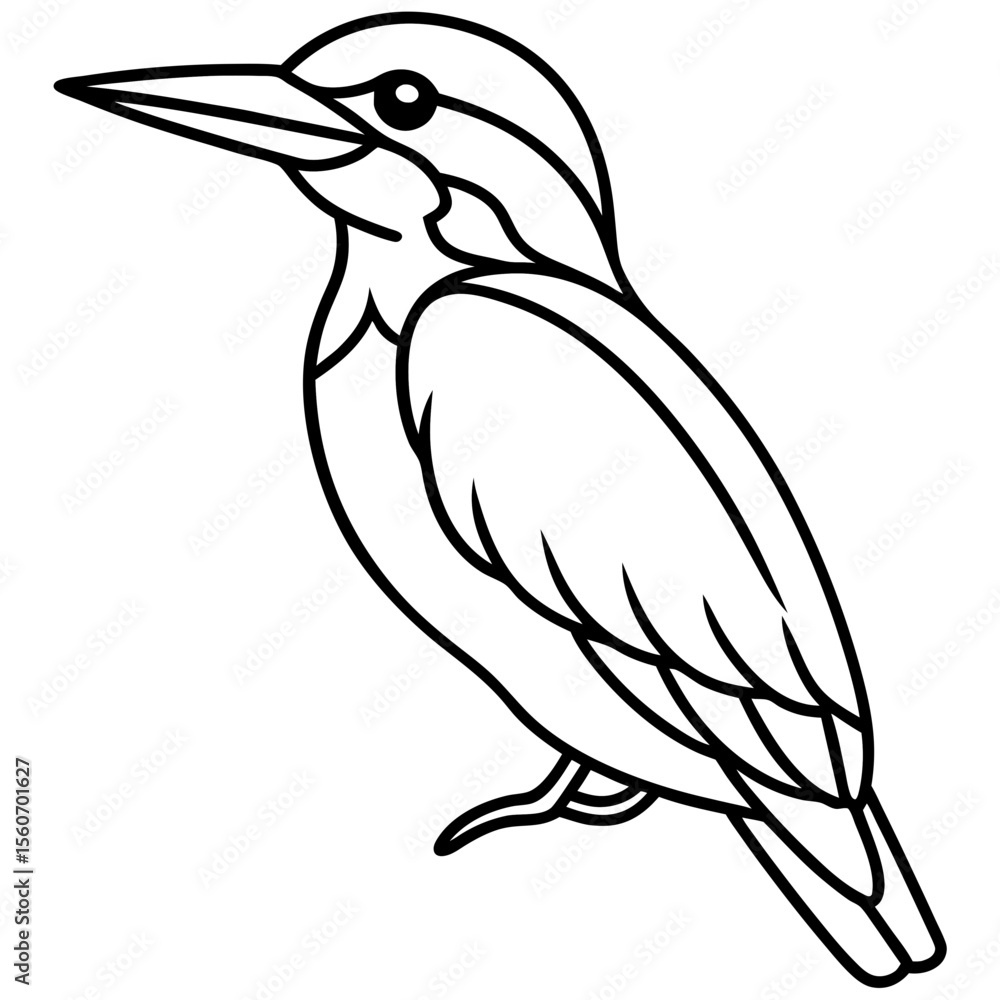 Fototapeta premium Kingfisher line art vector