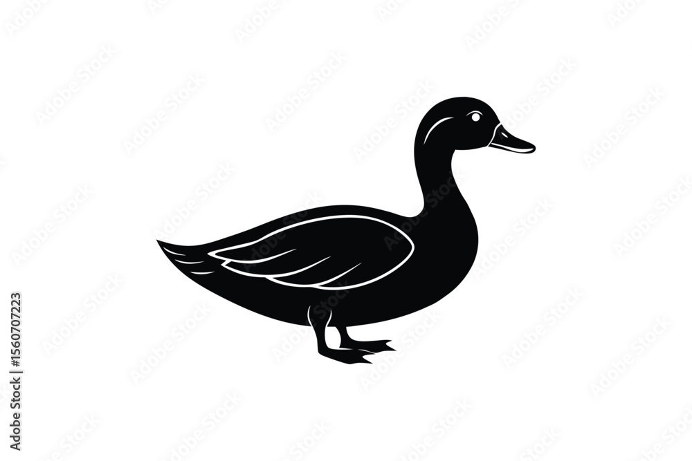 Obraz premium goose isolated on white