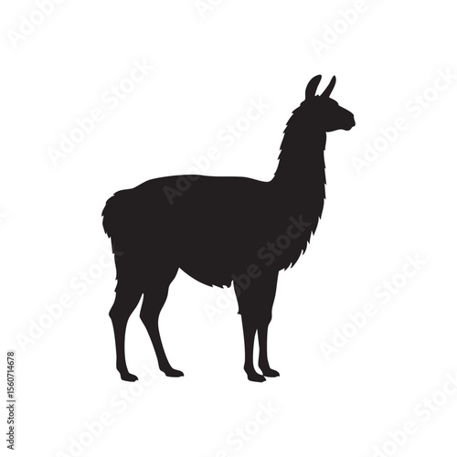Elegant Llama Standing Profile in Black Silhouette This