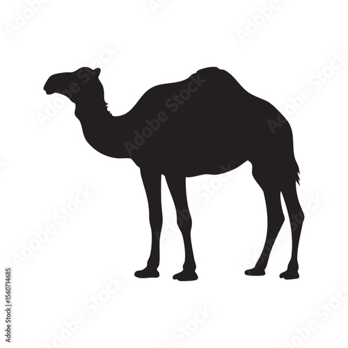 Camel Standing Profile Black Silhouette Against White Background silhouette