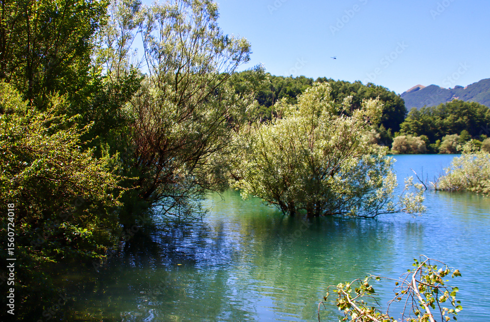 Fototapeta premium Scatti Vari