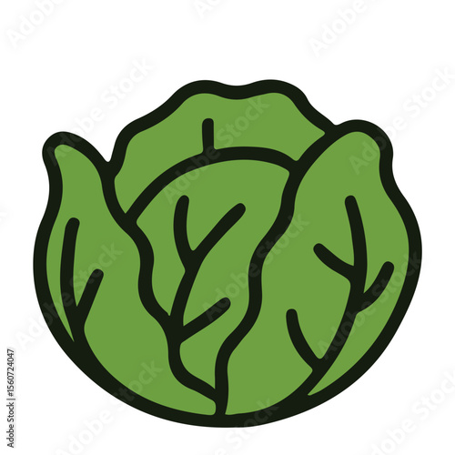 A vibrant vector illustration of food green vegetable