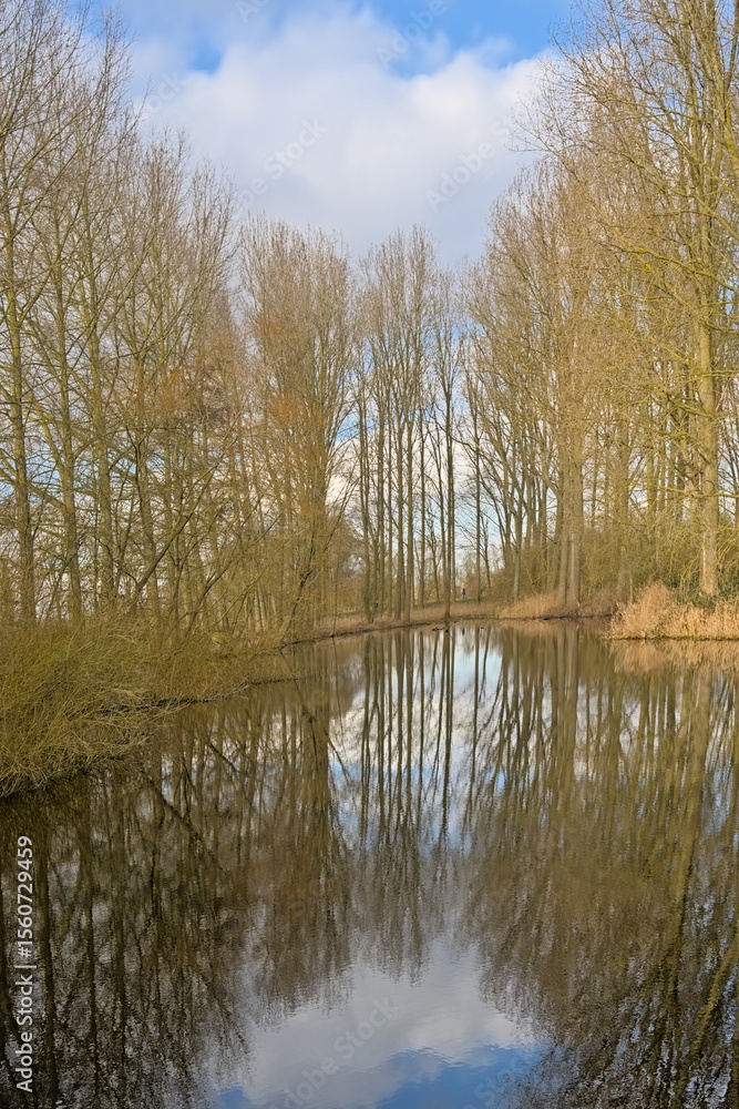 River Lys and bare forest reflecting in the water Scheldemeersen nature reserve, Merelbeke, Ghent, Flanders, Belgium River Lys and bare forest reflecting in the water Scheldemeersen nature reserve, Merelbeke, Ghent, Flanders, Belgium
