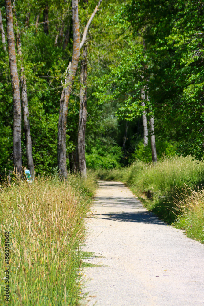 Fototapeta premium Scatti Vari