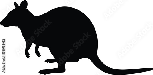 Silhouette of a standing kangaroo facing left isolated on white background