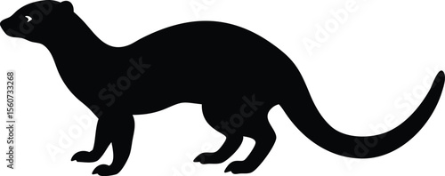 Silhouetted black weasel or ferret profile standing on a white background for graphic design