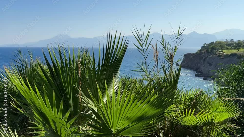 Tropical coastal landscape with palm leaves swaying in the wind and the Mediterranean Sea with mountains in the distance. Sunny weather, clear blue sky and calm natural scenery. Antalya, Turkey