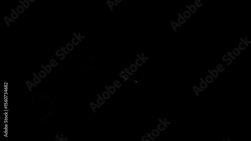 Placeholder Video with Simple Gray Background and Rectangular Sidebars for Testing Purposes and File Identification