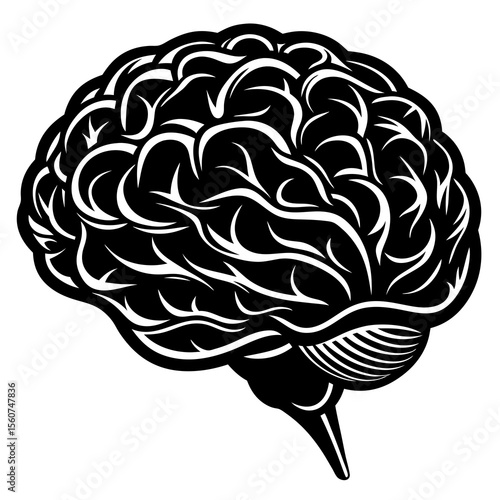 human brain vector illustration