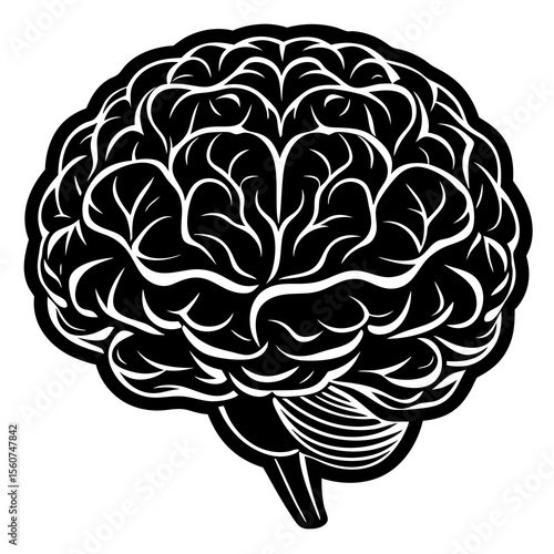 vector illustration of human brain