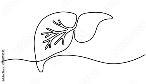 One continuous line drawing of human liver organs. Single continuous line drawing of liver anatomy. illustration of liver anatomy concept. Hand Drawn Symbol Vector Illustration.