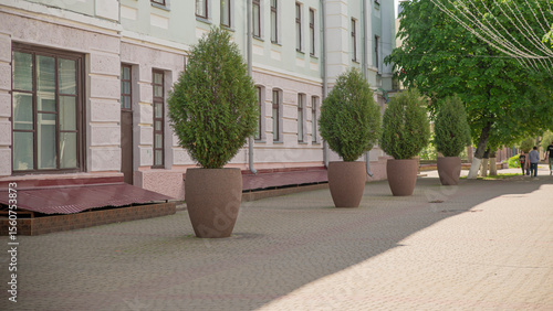 Fototapeta Naklejka Na Ścianę i Meble -  Decorative bushes in large pots line the street