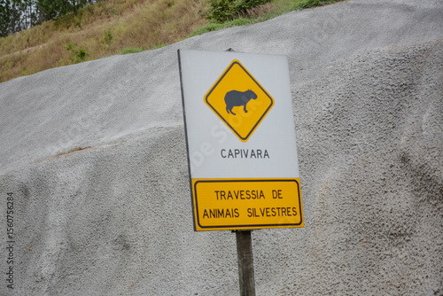 Sinalização de alerta indicando travessia de animais silvestres, com destaque para capivaras. Imagem útil para temas de preservação ambiental, segurança viária e fauna brasileira.