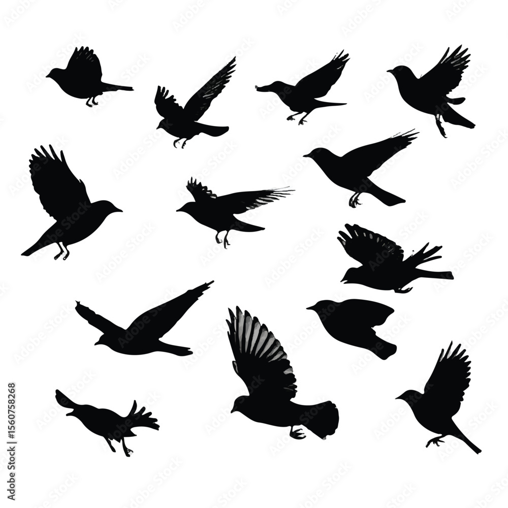 Fototapeta premium bird in flight silhouette set, Black & White silhouette set