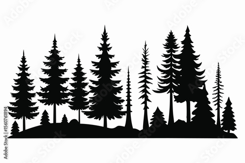 Majestic silhouette of evergreen forest trees landscape
