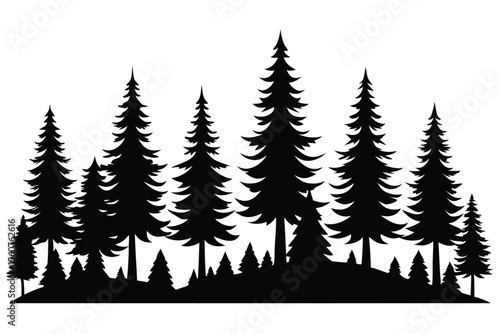 Majestic silhouette of a pine forest landscape