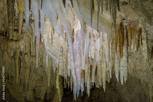 Stalactite and stalagmite limestone formation in the Ruakuri glowworm Cave in Waitomo