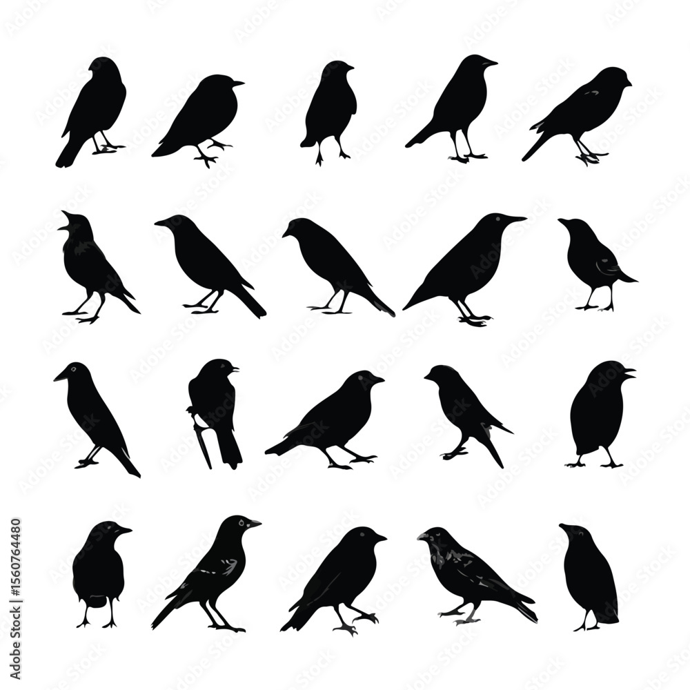 Obraz premium bird silhouette set, Black & White silhouette set