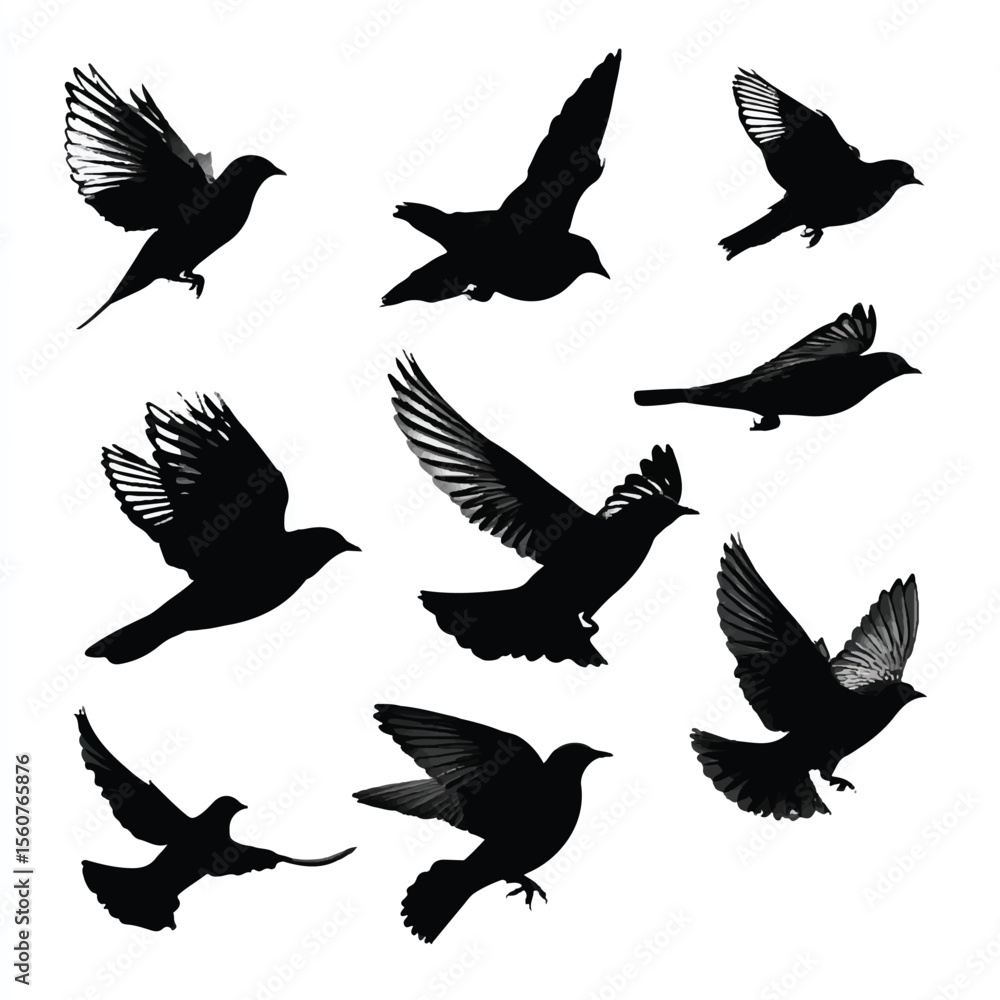 Fototapeta premium birds flying silhouette set, Black & White silhouette set
