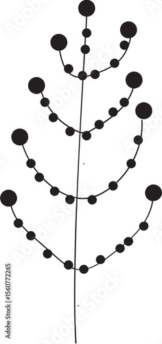 Botanical drawing of a curved branch with attached rounded fruits and simple leaf forms.