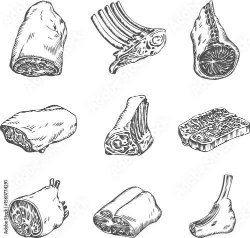 Premium Meat Collection: Vintage Style Butcher Shop Essentials