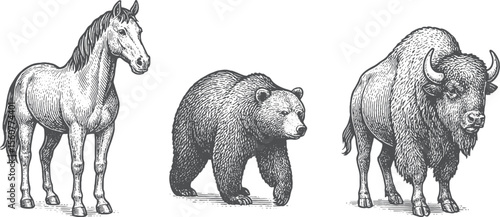 Untamed Nature: Horse, Bear, and Bison Artistic Collection