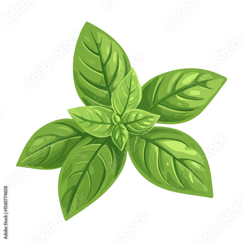 2D flat vector illustration of a Basil Flower in icon style, isolated on white background