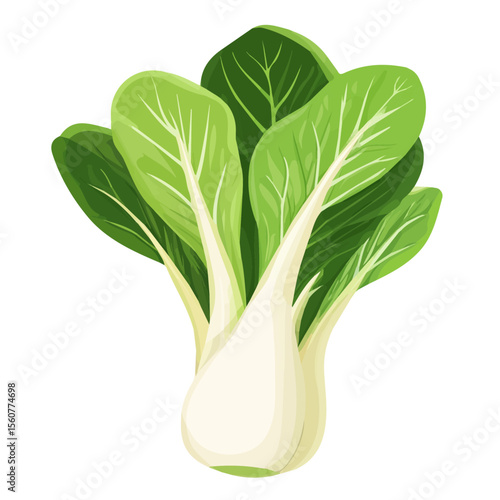 2D flat vector illustration of a Bok Choy in icon style, isolated on white background