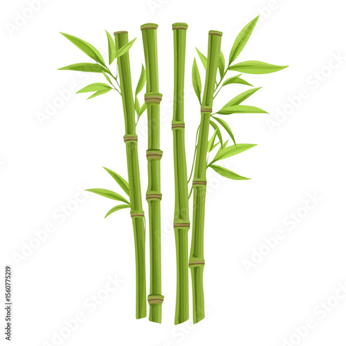 Minimal flat vector of a Bamboo, 2D icon-style illustration on white background