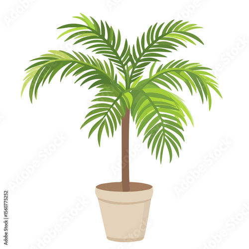 Tableau sur toile Areca Palm, flat style 2D vector image, isolated on a white background